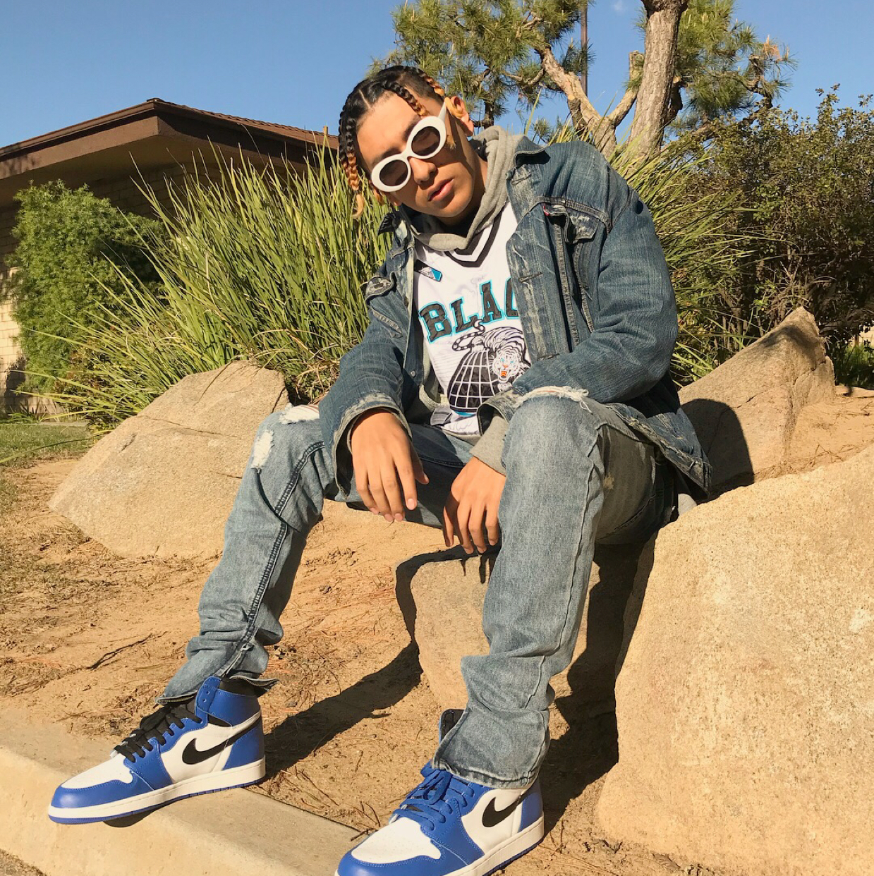 Air Jordan 1 Retro High OG Game Royal