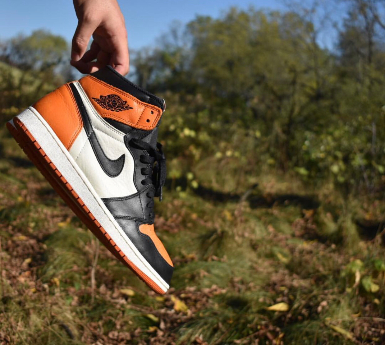 Air Jordan 1 Shattered Backboard