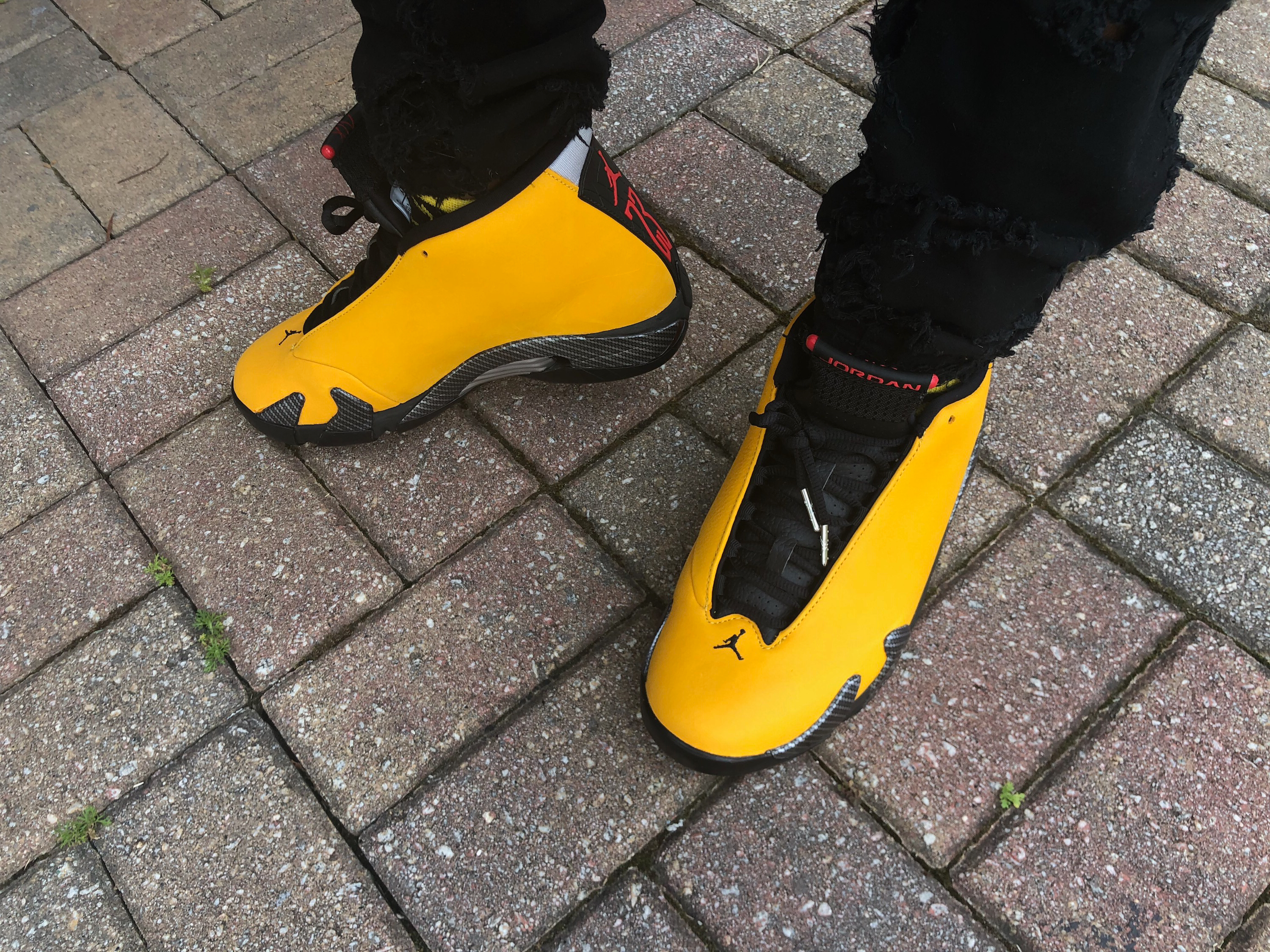 Air Jordan 14 Reverse Ferrari