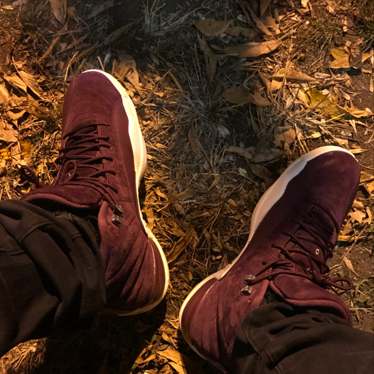Air Jordan 12 Bordeaux